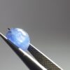 20240531_172207 Natural Blue Sapphire · 1.28 ct · Oval · Cabochon · Heated · Sri Lanka
