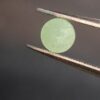 20260217_152603 Natural Green Aventurine · 0.457 ct · Round Rose Cut · India