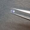 Natural Violet Blue Tanzanite · 0.030 ct · Round · Tanzania