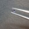 Natural Violet Blue Tanzanite · 0.030 ct · Round · Tanzania