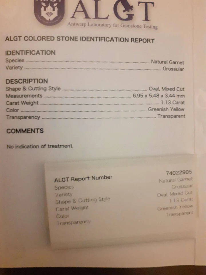 algt-certified-natural-grossular-garnet-1-13-ct-natural-gems-belgium-precious-stones-72701707223364 Natural Grossular Garnet · 1.13 ct · Oval · Mixed Cut