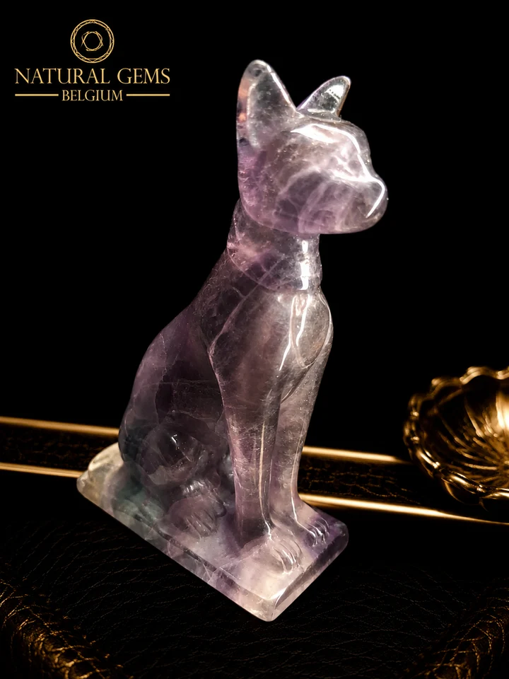 fluorite cat fluorite cat