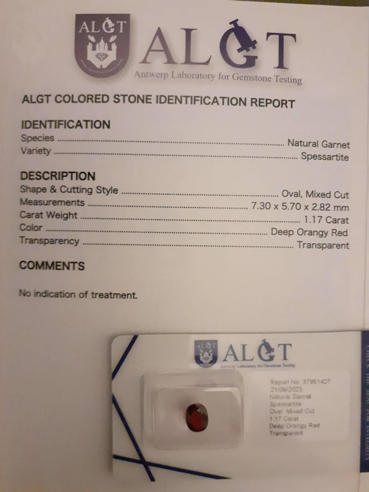 Natural Spessartite Garnet · 1.17 ct · Oval · Mixed Cut
